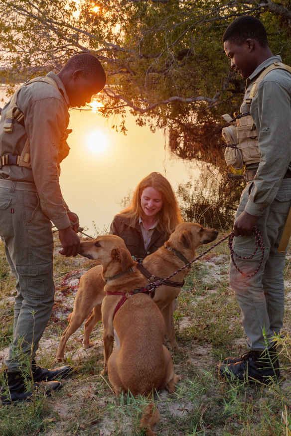 Local rescue dogs have been trained by the team at Matetsi to track poachers.