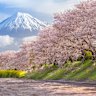 The AUD has plunged against the yet in time for blossom season.