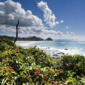 Morning light on Port Macquarie’s Shelly Beach.