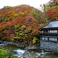 Takaragawa is a great starting point if you’re new to the onsen world.