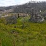 The threat of coal mining to a swamp in the Gardens of Stone area of the Blue Mountains has been reduced after Centennial Coal reduced and rewrote plans for their Angus Place mine.