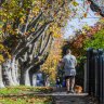 Contrived, affluent and whisper quiet: A Blue Velvet shadow looms over Malvern East