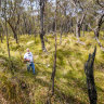 Bush Users’ Group founder Bill Schulz has launched the most successful Victorian petition ever, campaigning against new national parks.