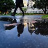 After the deluge: The grounds of the Royal Exhibition Building on Tuesday.