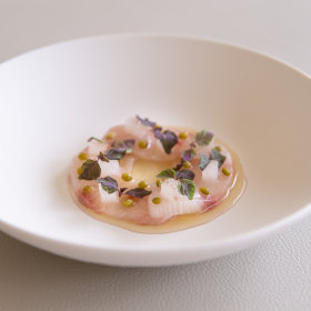 Kingfish with black pepper, finger lime and sea fennel.