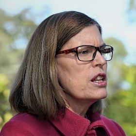 Straight shooter: NSW Chief Medical Officer Dr Kerry Chant.