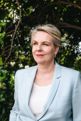 We’ll learn more about Tanya Plibersek in Margaret Simons’ biography of the Labor figure.