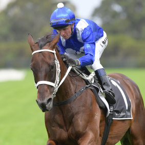 Normal routine: Winx with Kerrin McEvoy in the saddle during her gallop on Saturday