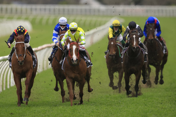 Old marvel Eduardo (white and yellow cap)  is chasing a hat-trick of Challenge Stakes wins.