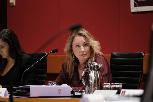 NSW upper house Greens MP Abigail Boyd.