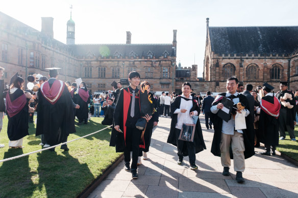 Universities face cuts of between 60 per cent and 95 per cent of international student enrolments.