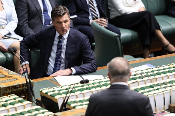 Opposition Leader Angus Taylor and Prime Minister Anthony Albanese during question time on Monday.