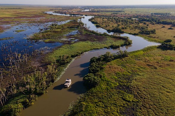Out and about on Corroboree Billabong and the Mary River Wetlands.