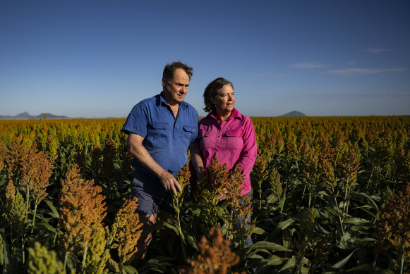 Andy and Helen Strang with their crop of sorghum nearing harvest on the Liverpool Plains near Gunnedah.