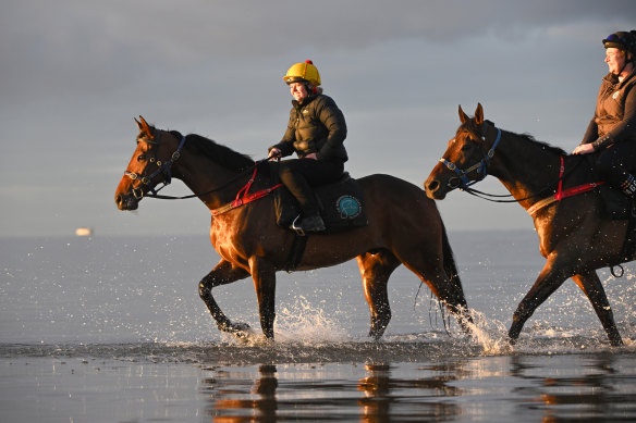 Alligator Blood has been cleared to start in Saturday’s Cox Plate.