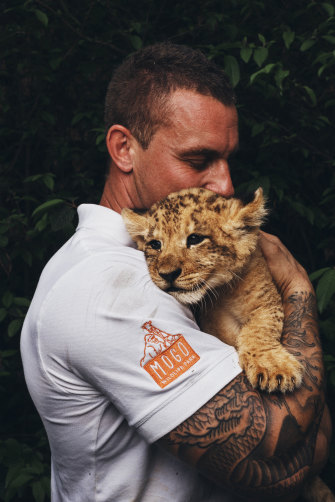 Lion cub Phoenix, held by Mogo Zoo  director Chad Staples, who waited until after the fire to name him.