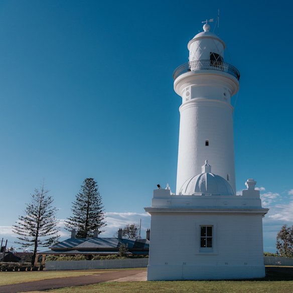This way home, pigeons