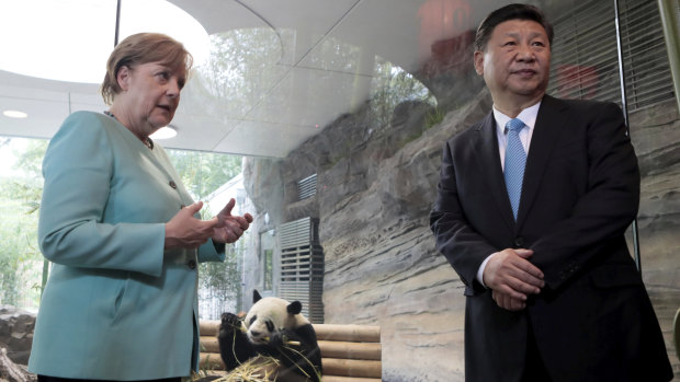 Eyeing China: German Chancellor Angela Merkel and Chinese President Xi Jinping, right, meet panda bears at the Zoo in Berlin last year.