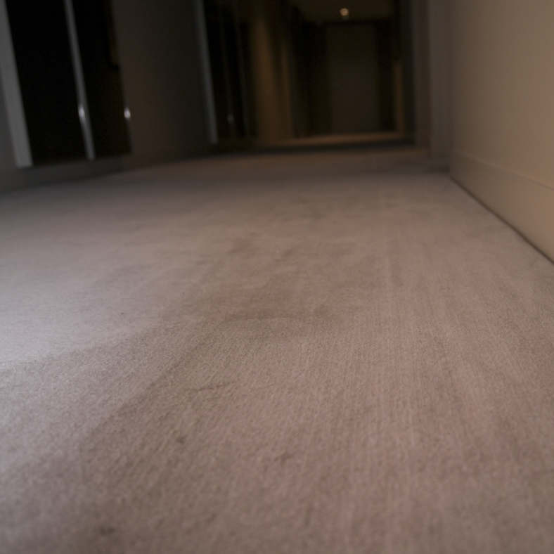 隔河望CBD、澳住宅楼20%公寓成短租民宿，裸奔派对、酗酒斗殴日日有新鲜（组图） - 4