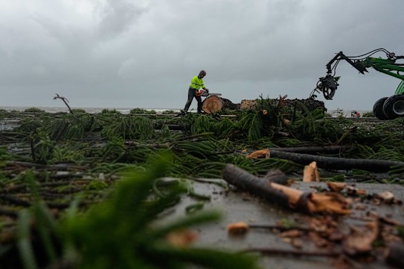 A main chainsaws a collapsed tree in Redcliffe.