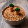 Cornetto caviar