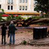 A fig tree in Hyde Park, Sydney CBD fell this evening, injuring two along Elizabeth St