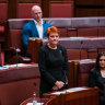 One Nation leader Pauline Hanson said the party would spearhead the campaign against an Indigenous Voice to Parliament.