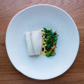 John Dory with mussel, zucchini blossom and saffron.