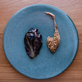 Grilled quail with burnt onion and blackberry. 