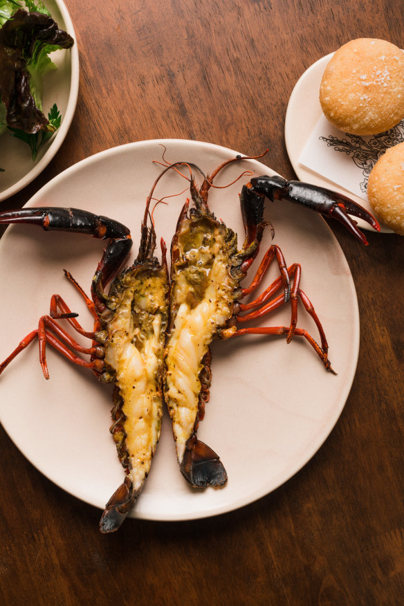 Manjimup marron, curry butter and fried bread. 