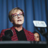 Minister for the prevention of domestic violence and sexual assault Jodie Harrison 