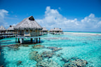 Tikehau Pearl Beach Resort, is a luxury option in Tahiti.