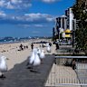Surfers Paradise is a popular destination.