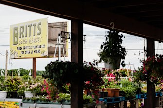 Tracy Britt Cool discovered she had a “mind for math” as a teen working in her family business in Kansas.   family owns a farm stand in Kansas