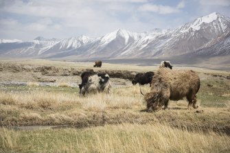 The Wakhan corridor is Afghanistanâ€™s only border with China.