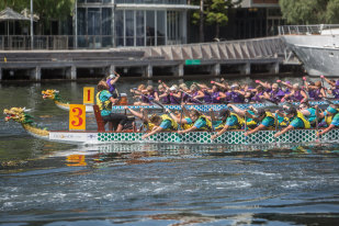  Diane Edmondson (paddling fourth from left) and granddaughters Charlotte (paddling far left) and Ella (paddling second from left) competing for Brave Hearts dragon boat club at Docklands. 