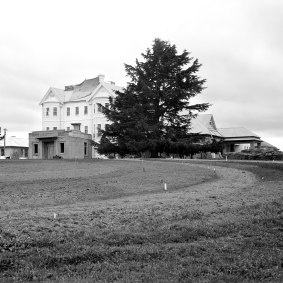 Government House and its iconic deodar tree, photographed in 1926.