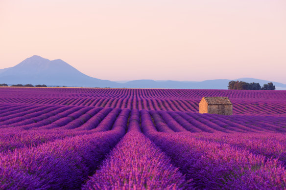 Provence. France will steal your soul.