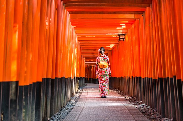 Beneath these sacred Torii gates, the connection between nature and daily ritual remains as vibrant as ever.