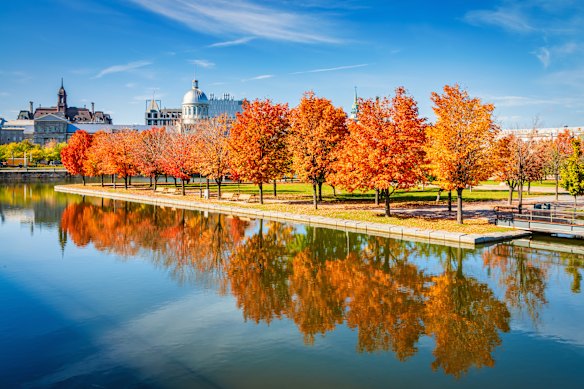 La temporada de follaje en Montreal dura de abril a octubre.