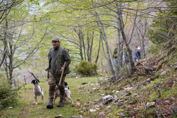 Alessandro, whose family bought the land in 1496, hunts for truffles with the help of his dogs.