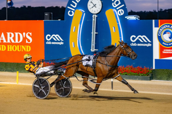 Jack Callaghan will chase his dreams with Spirit Of St Louis in the Miracle Mile at Menangle on Saturday. 