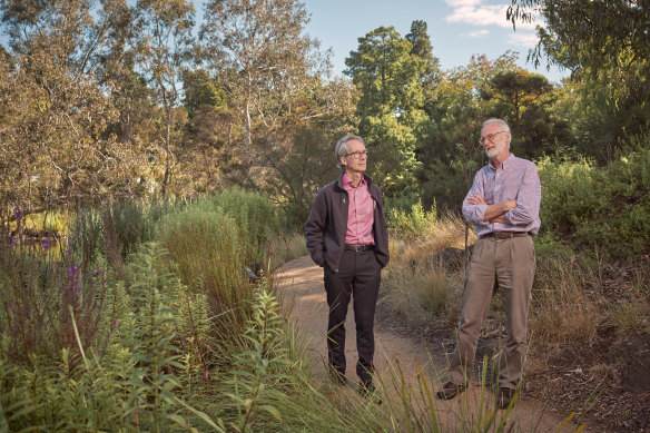 Tim Entwisle and Neville Walsh at the Royal Botanic Gardens Melbourne.