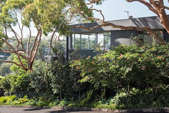 Trees and shrubs are living, growing things. For some home owners, that’s the problem.