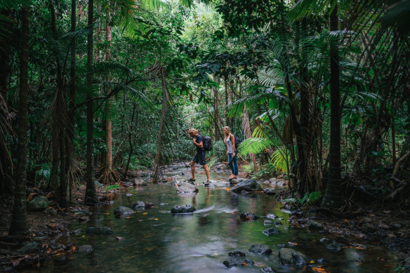 The world’s oldest tropical rainforest, the Daintree.