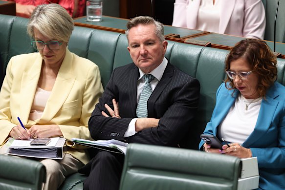 Energy Minister Chris Bowen.
