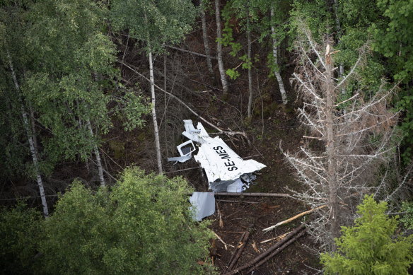 A GippsAero Airvan plane crashed in Sweden in 2019, killing all nine on board.