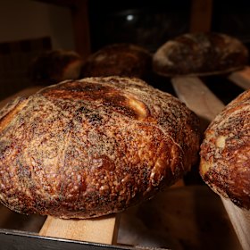 White loaves.