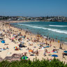 It really is great: Bondi Beach.