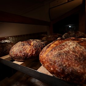 Sourdough loaves. 